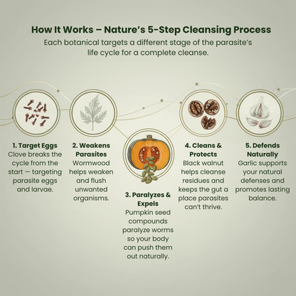 Parasite Cleanse Elixir